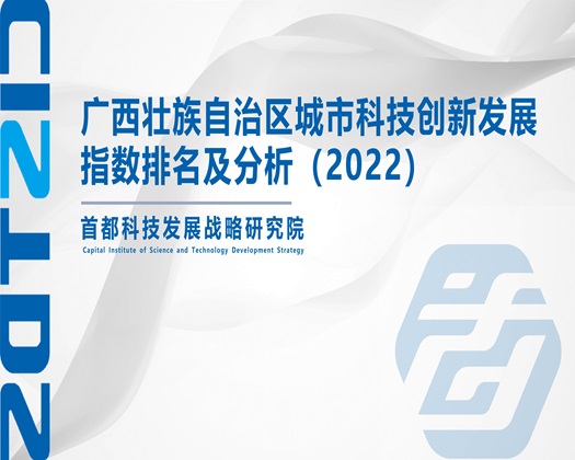 一男一女艹逼网站【成果发布】广西壮族自治区城市科技创新发展指数排名及分析（2022）